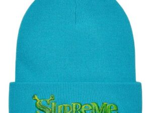 Supreme Shrek Beanie (Turquoise)